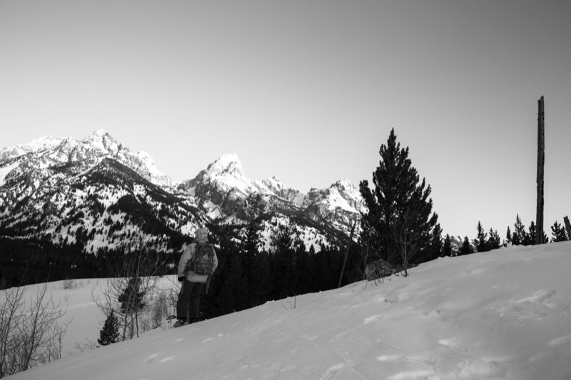 20150308-GC1A0284.jpg